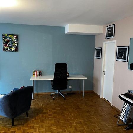 Beautiful Large Studio In Center Of Geneva Free Wifi Apartment Bagian luar foto