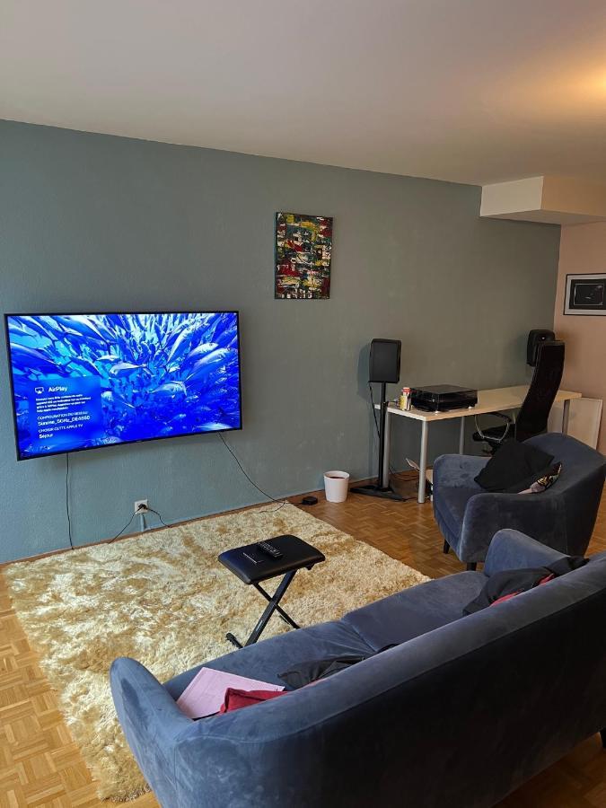 Beautiful Large Studio In Center Of Geneva Free Wifi Apartment Bagian luar foto