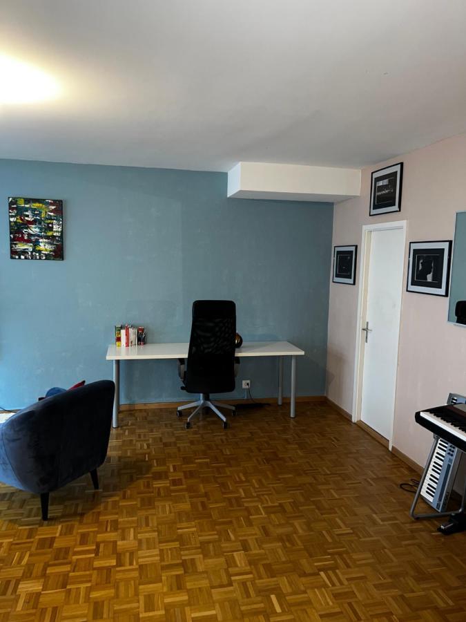 Beautiful Large Studio In Center Of Geneva Free Wifi Apartment Bagian luar foto
