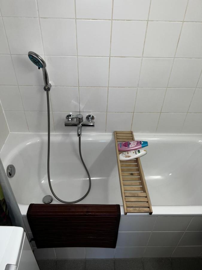 Beautiful Large Studio In Center Of Geneva Free Wifi Apartment Bagian luar foto