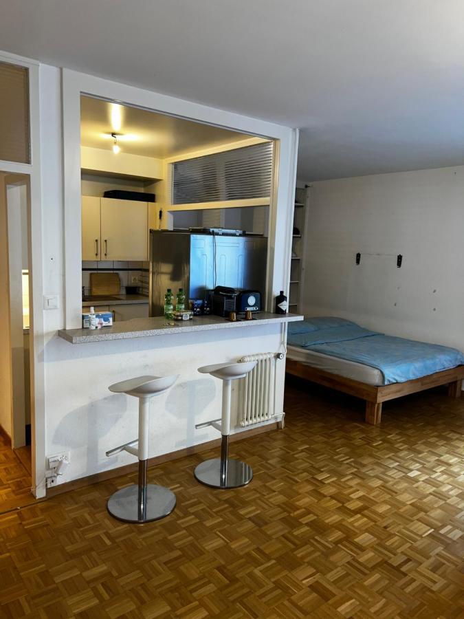 Beautiful Large Studio In Center Of Geneva Free Wifi Apartment Bagian luar foto