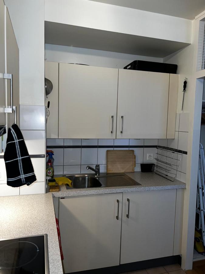 Beautiful Large Studio In Center Of Geneva Free Wifi Apartment Bagian luar foto