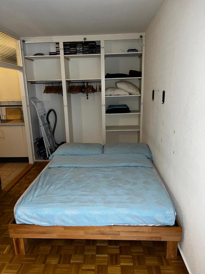 Beautiful Large Studio In Center Of Geneva Free Wifi Apartment Bagian luar foto
