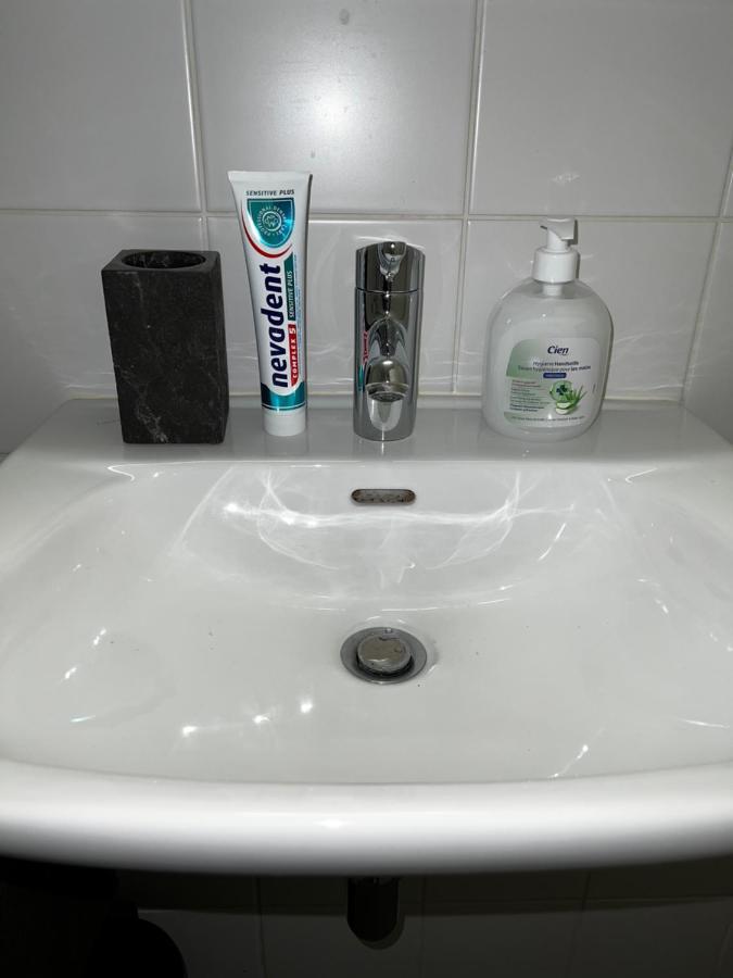 Beautiful Large Studio In Center Of Geneva Free Wifi Apartment Bagian luar foto